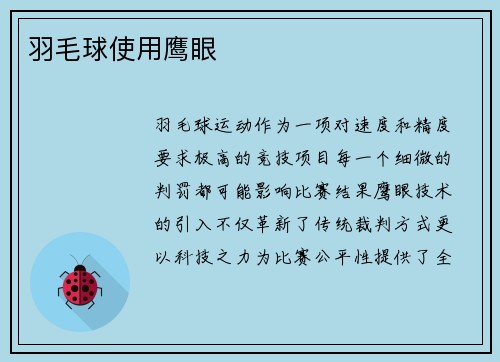 羽毛球使用鹰眼